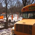 NY-Christo-Gates and Bus