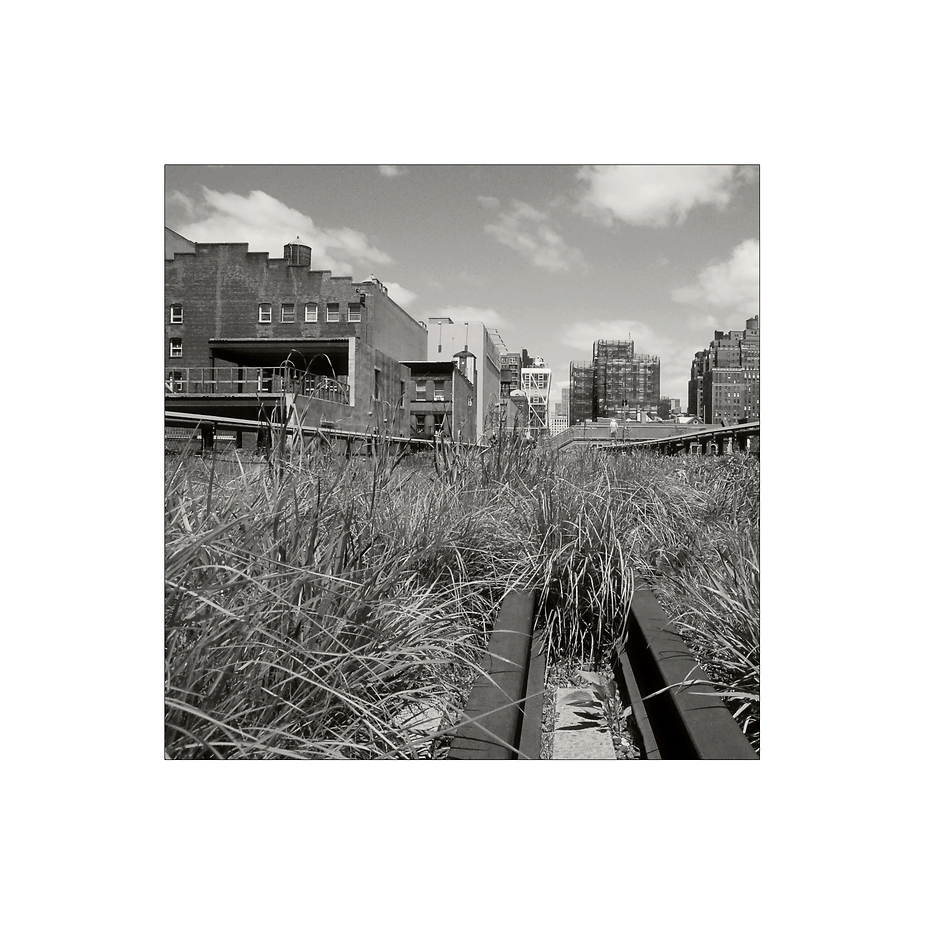 : NY ~ High Line II