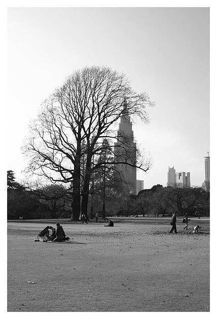 NY in Central Tokyo. Herbst im Dezember