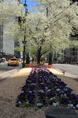 NY Park Avenue