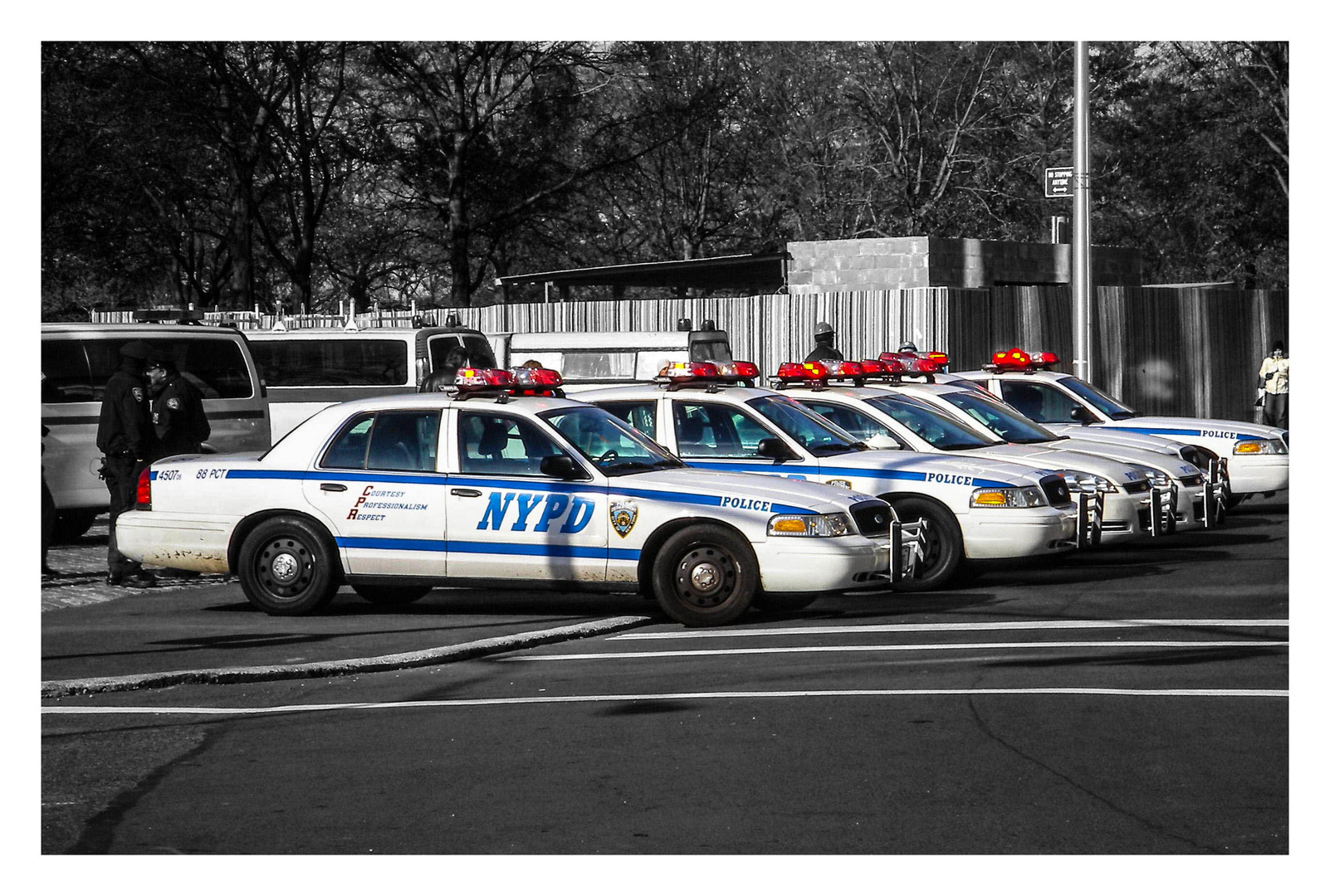 N.Y Police