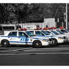 N.Y Police