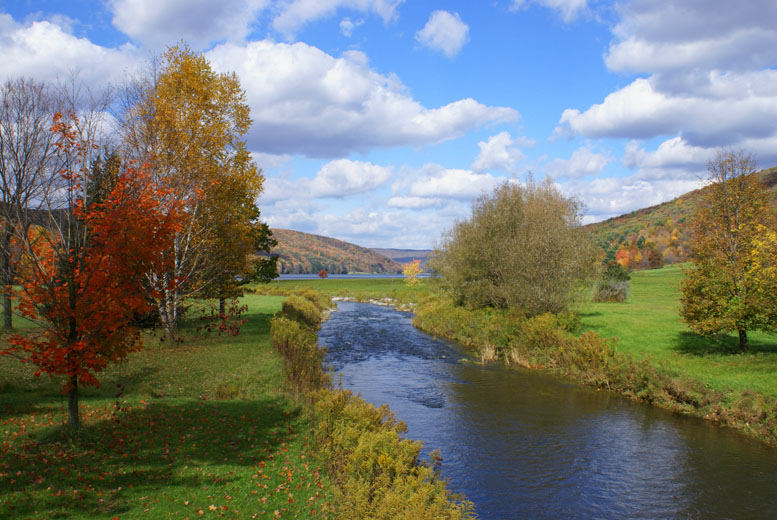 ny state park