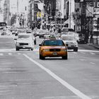 NY yellow! 2