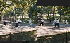 NYC: Asiatischer Kampfsport im Central Park