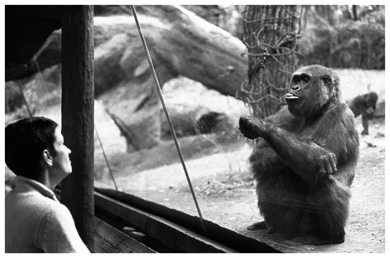 NYC, Bronx, Zoo