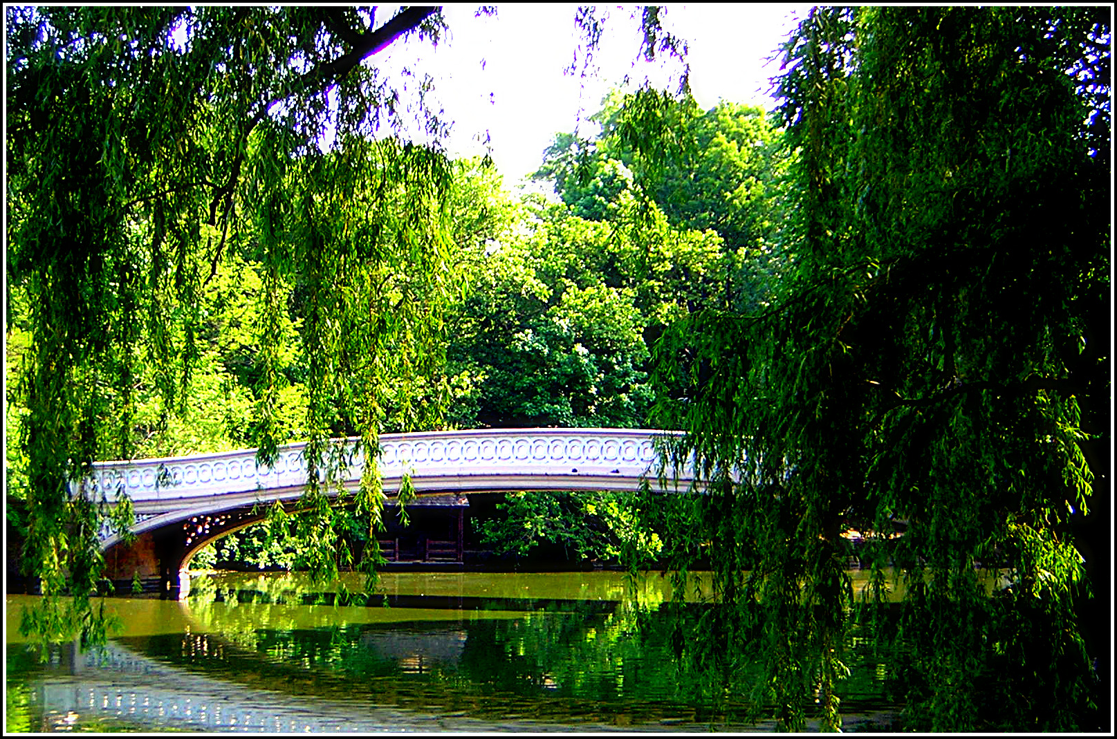 NYC - Central Park - Bow Bridge