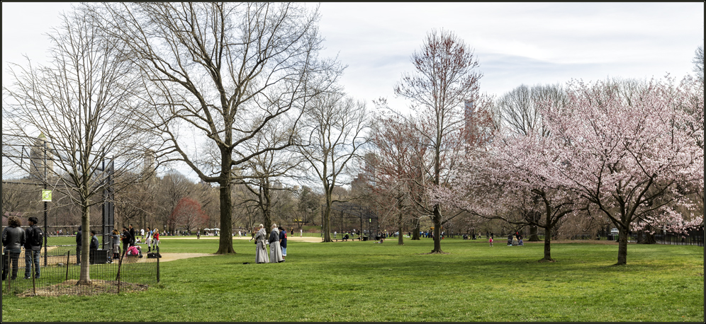 NYC - Central Park .