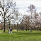 NYC - Central Park .