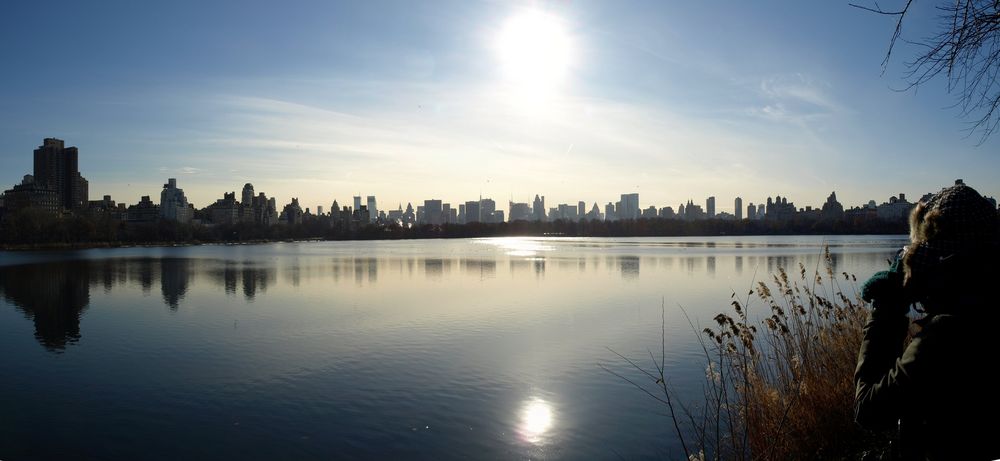 NYC Central Park Skyline