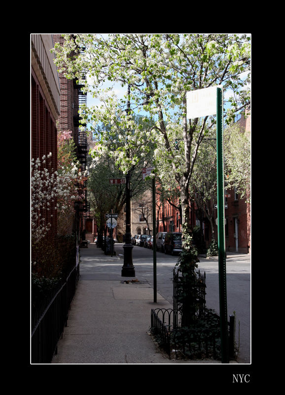 *** NYC *** Greenwich village *** Springtime ***