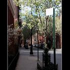 *** NYC *** Greenwich village *** Springtime ***