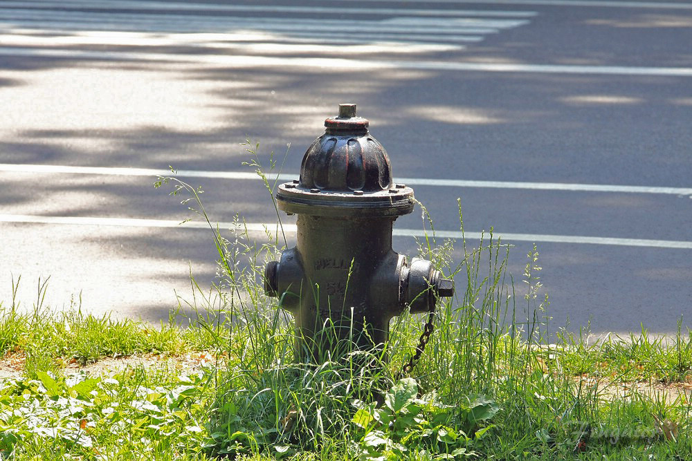 NYC-Hydrant