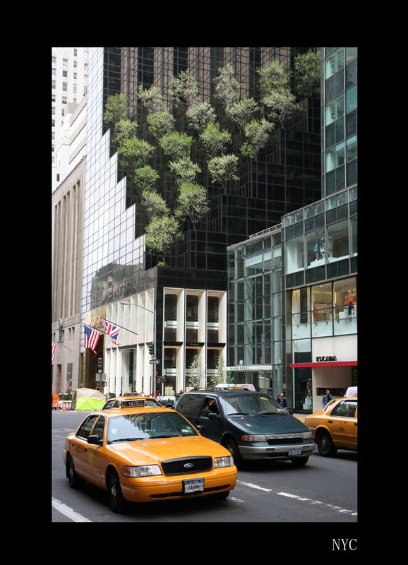 *** NYC *** Trump tower *** Springtime