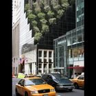 *** NYC *** Trump tower *** Springtime