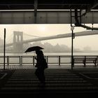 nyc10319 sw