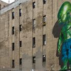 NYC_Mini Hulk