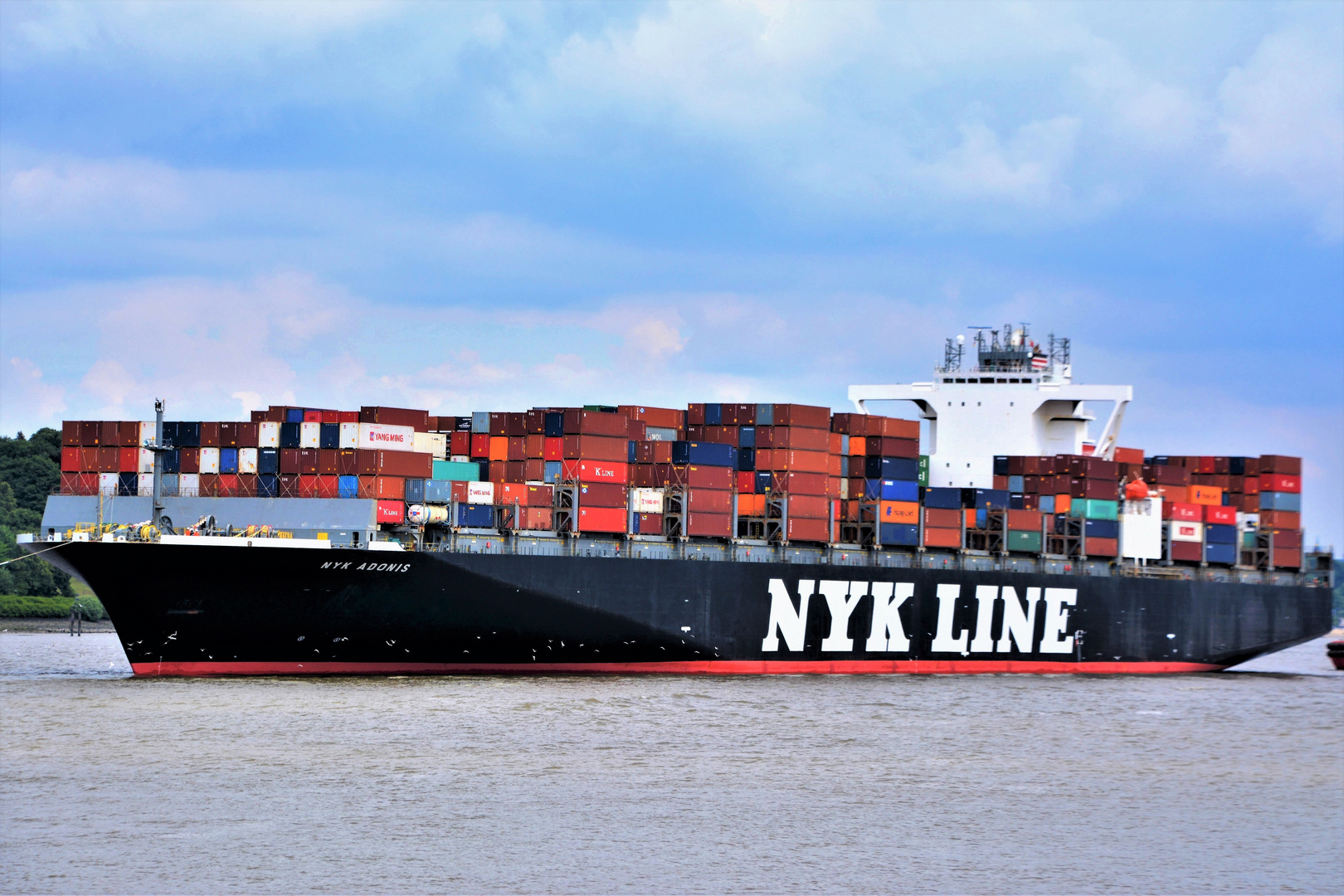 NYK ADONIS