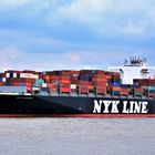 NYK ADONIS