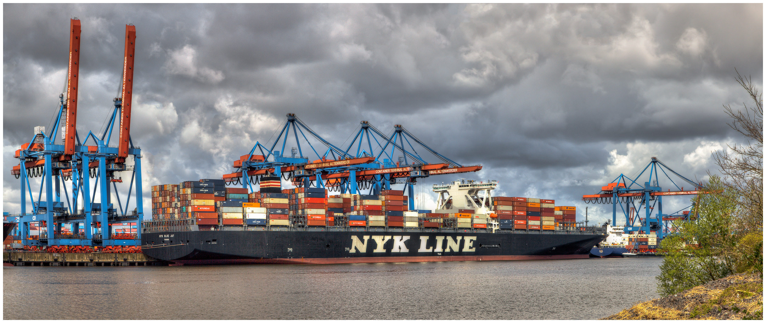 NYK LINE