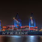 NYK  OCEANUS 