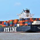 NYK RIGEL  