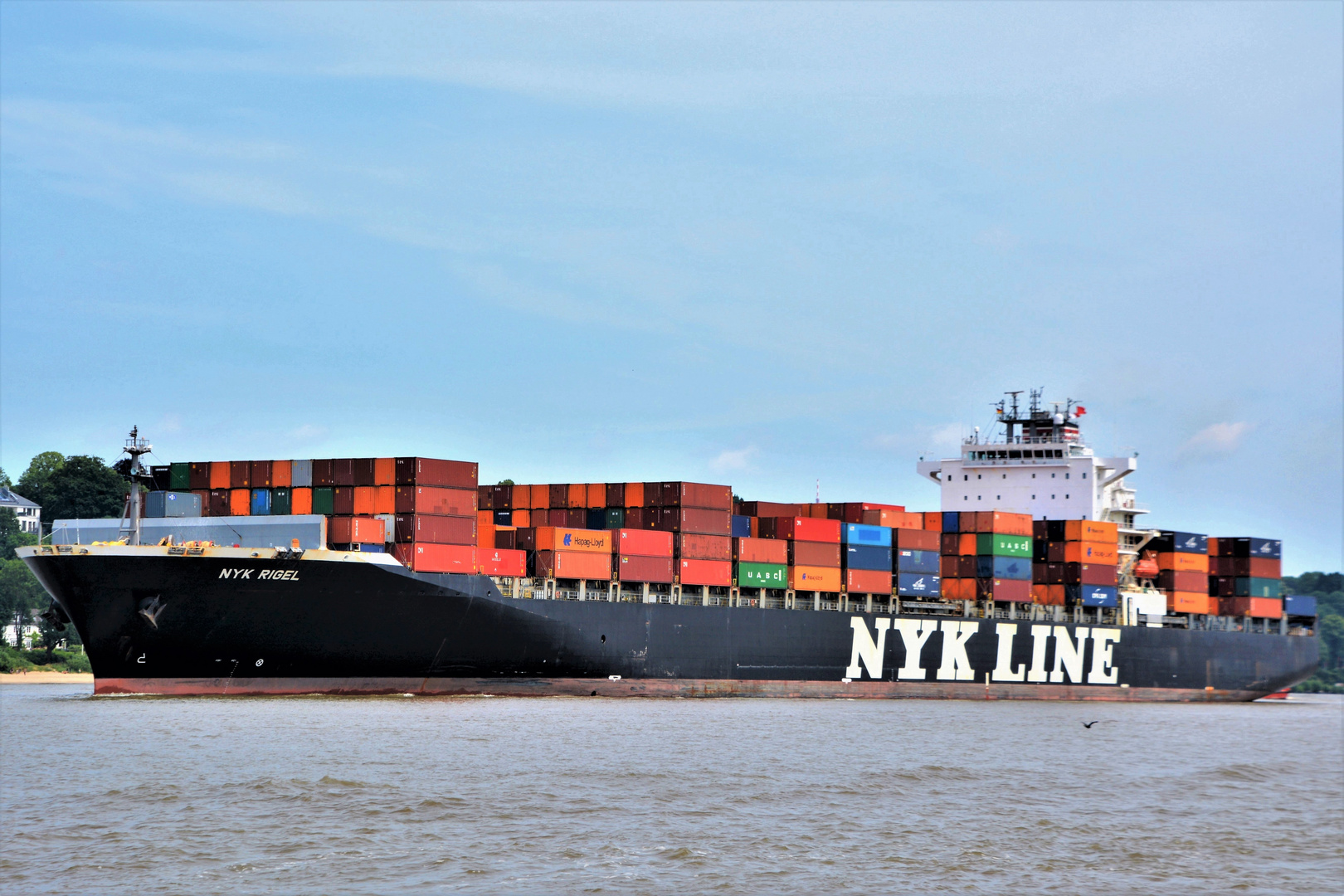 NYK RIGEL