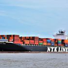 NYK RIGEL