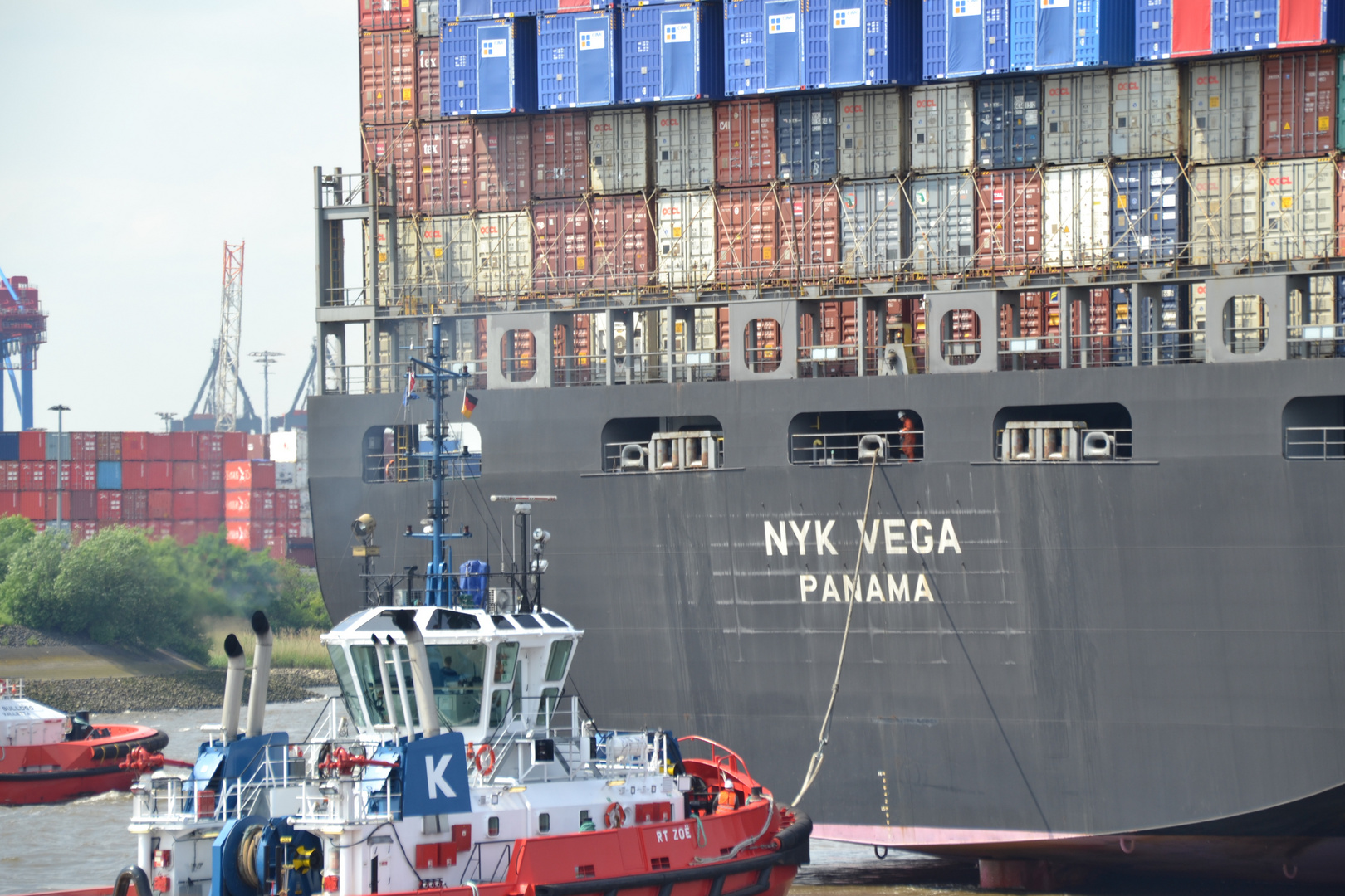 NYK Vega - RT Zoe