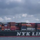 NYK VESTA