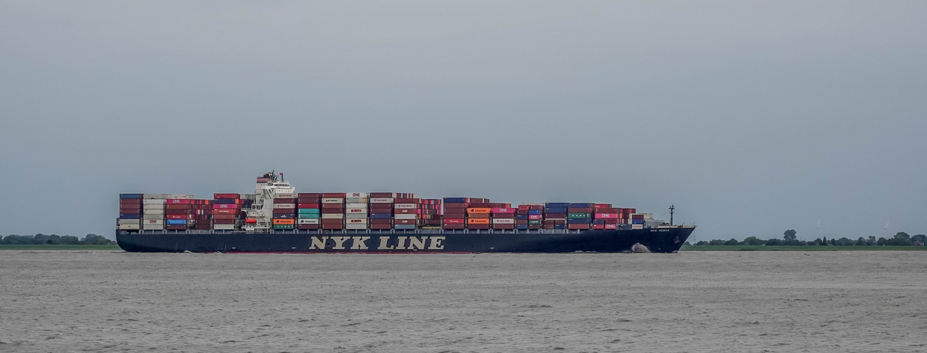 " NYK VESTA "