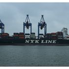 NYK Virgo