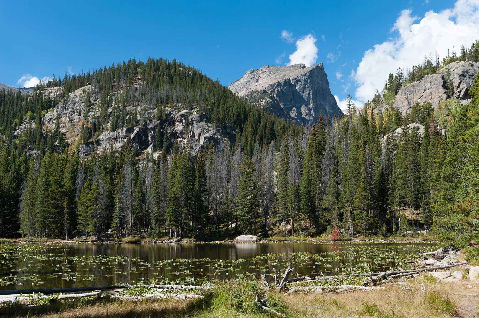 Nymph Lake