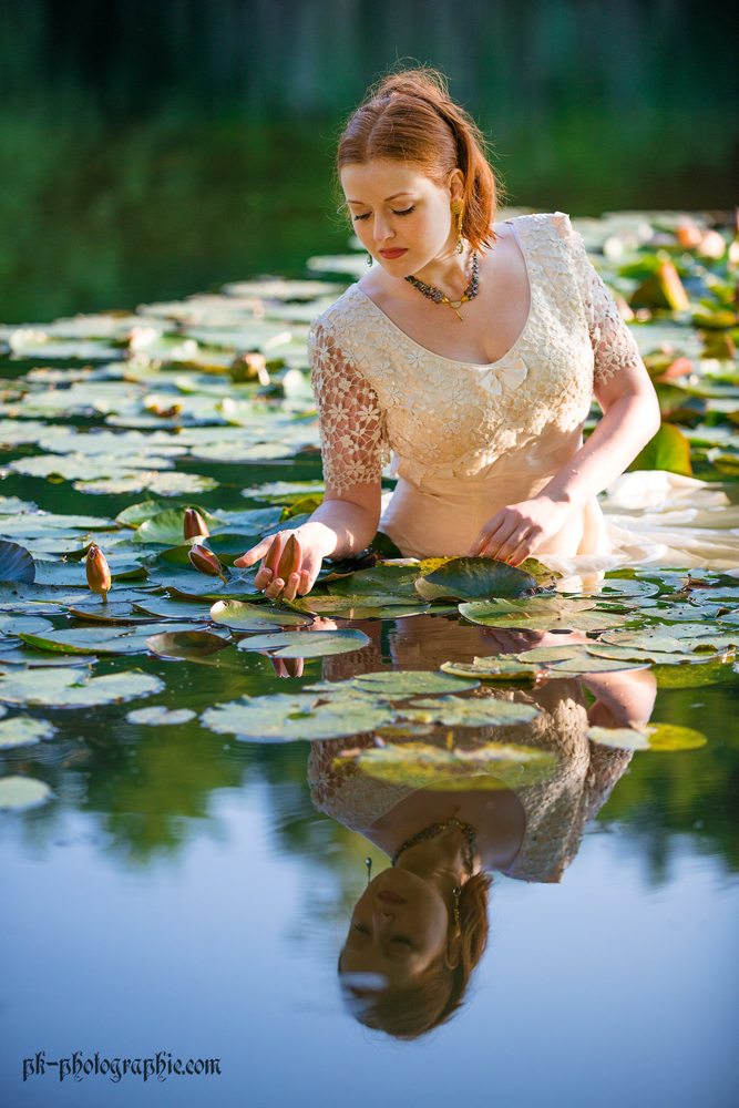 Nymphaea