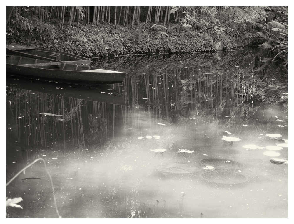 nymphéas in Giverny