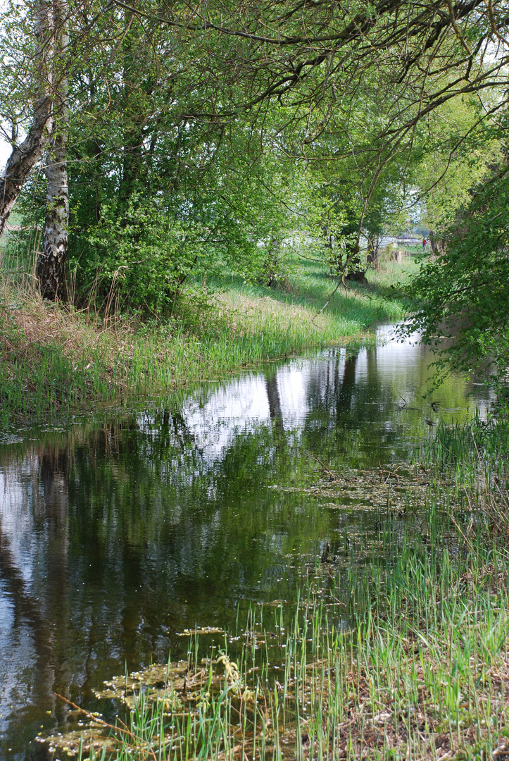 Nymphen am Bach