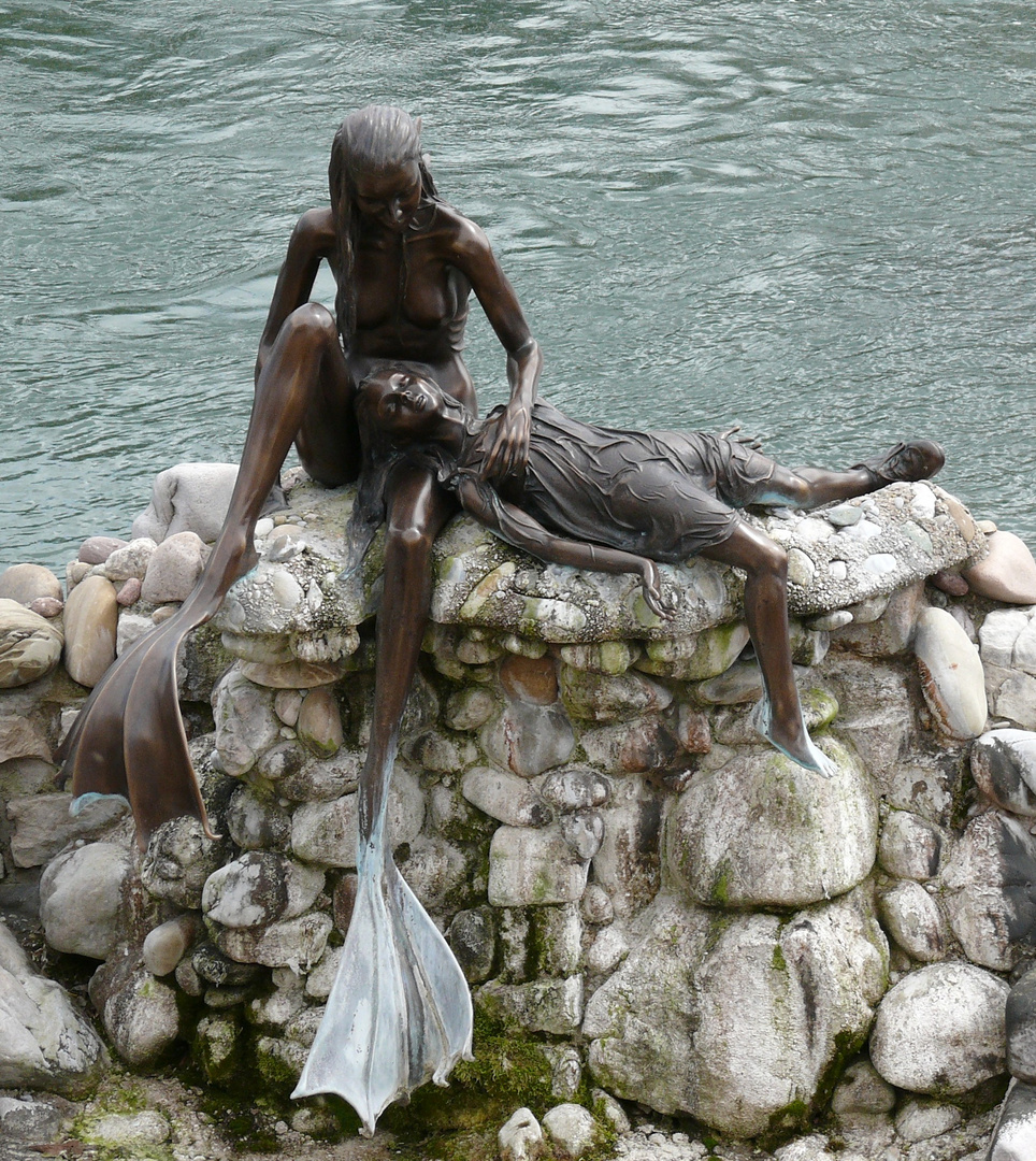 Nymphen vom Rheinfelden am Rhein.