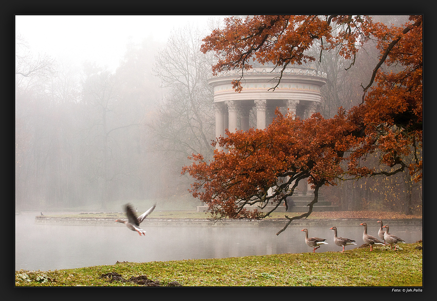 Nymphenburg 0111