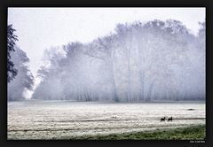 Nymphenburg 0112