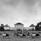 Nymphenburg