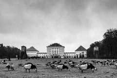 Nymphenburg