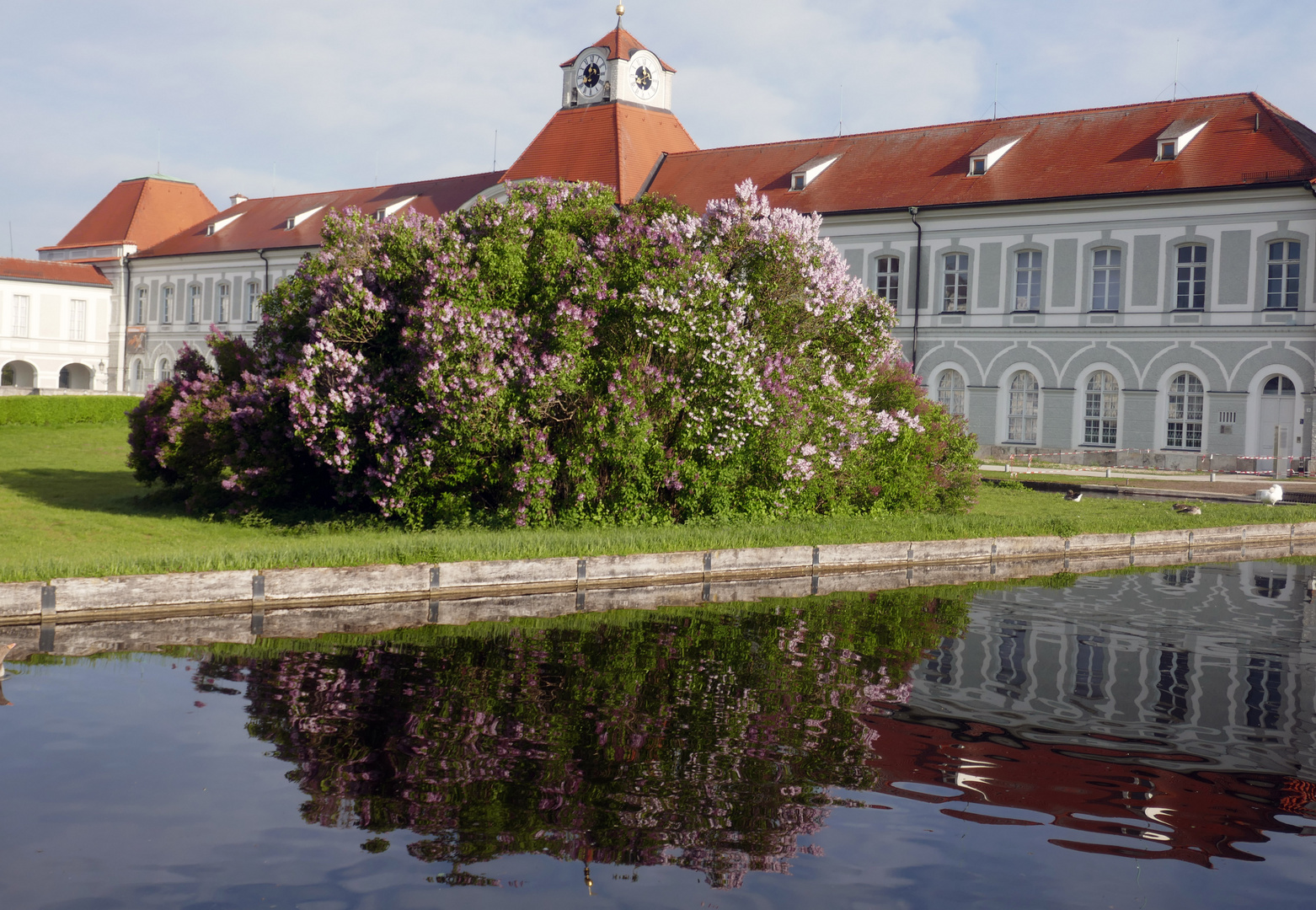 Nymphenburg 5 1.5.17