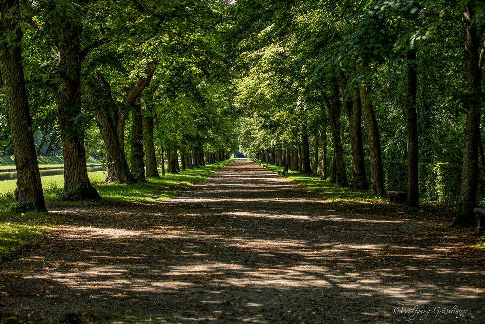 Nymphenburg am Schlossgartenkanal