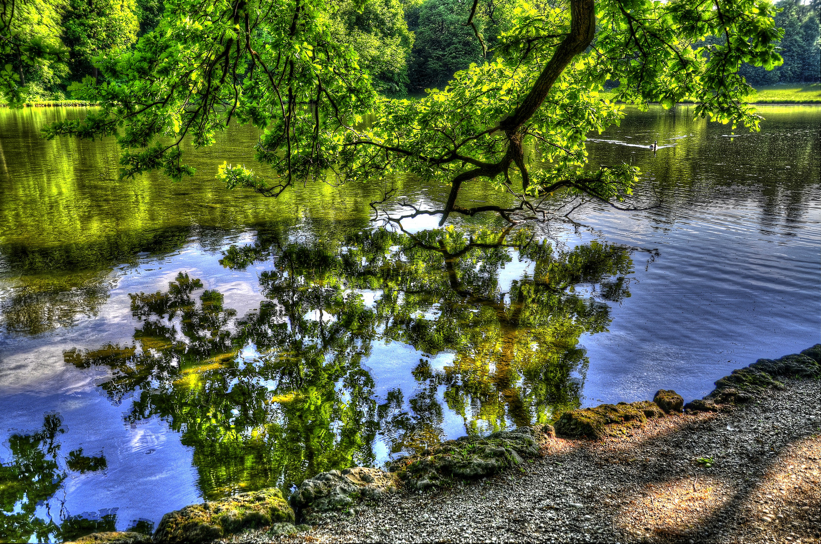 Nymphenburger Parksee (Müchen)