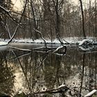 Nymphenburger Schlosspark 