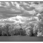 Nymphenburger Schloßpark - B/W