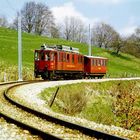 Nyon-St.Cergue-Morez - Eisenbahnbiotop in der Westschweiz