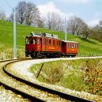 Nyon-St.Cergue-Morez - Eisenbahnbiotop in der Westschweiz