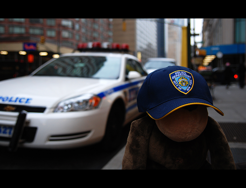 NYPD - Mr. Wilson Cleans Up New York City