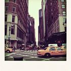 N.Y.Pola1